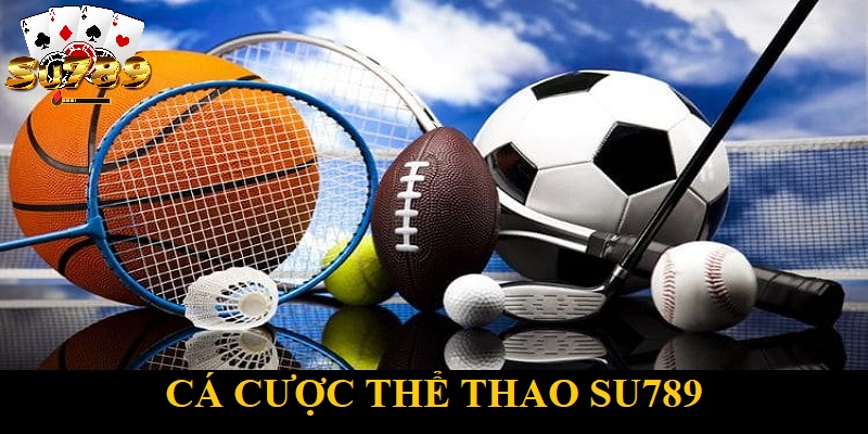 Sơ lược về cá cược thể thao Su789